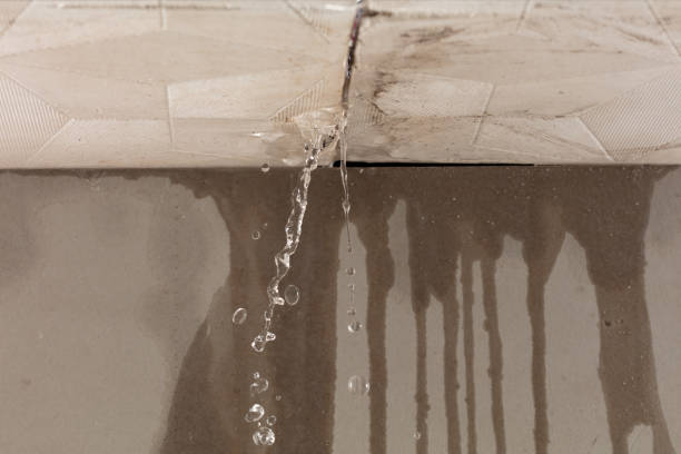 Professional Burst Pipe Cleanup technician working in Spring City, TN